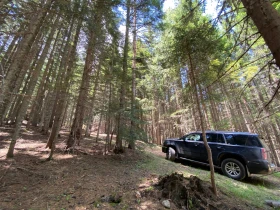     Chevrolet Tahoe LT
