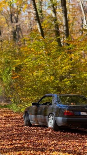 Mercedes-Benz 124, снимка 9