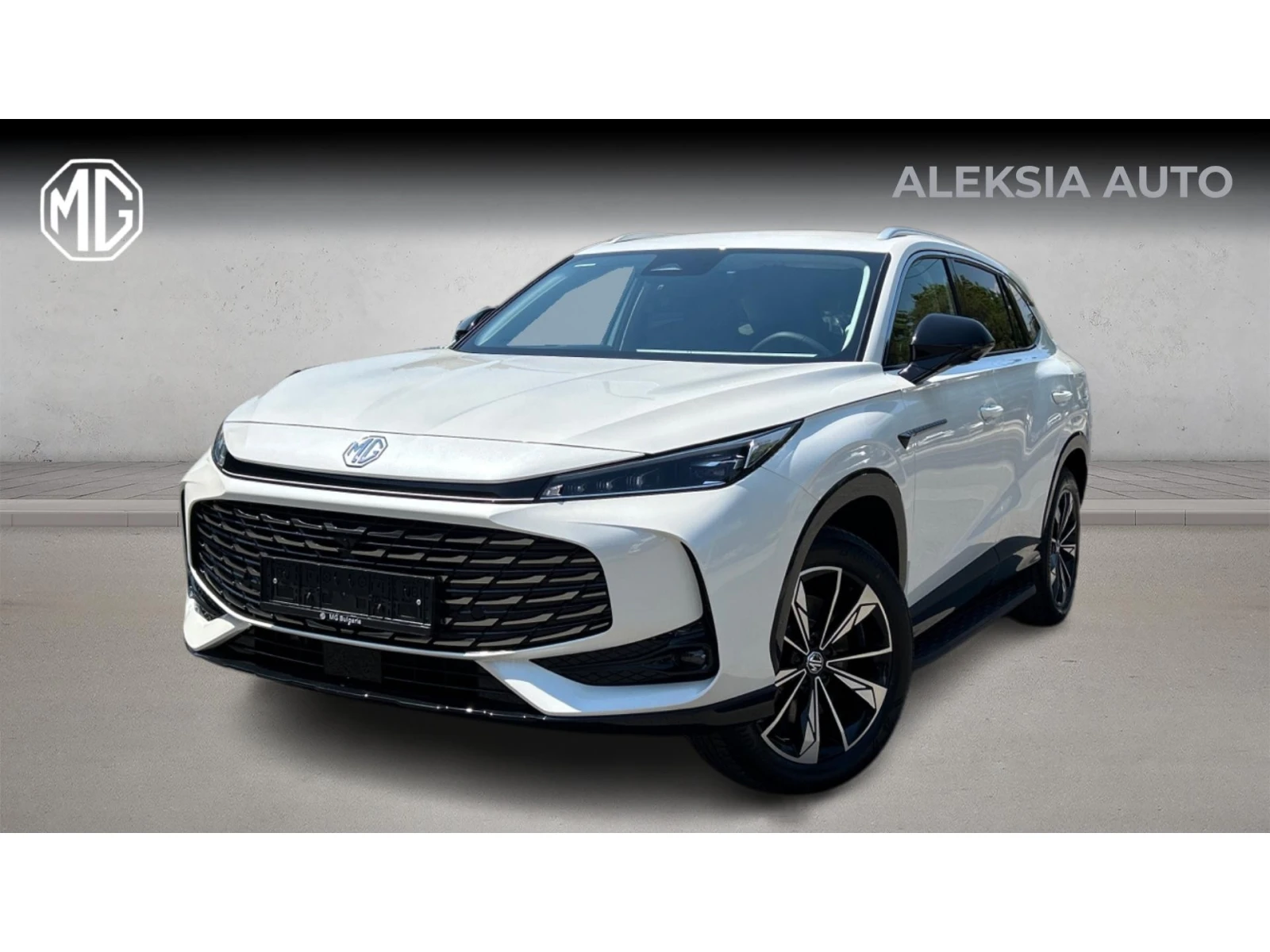 Mg EHS Plyg in hybrid, Месечна вноска от 395  