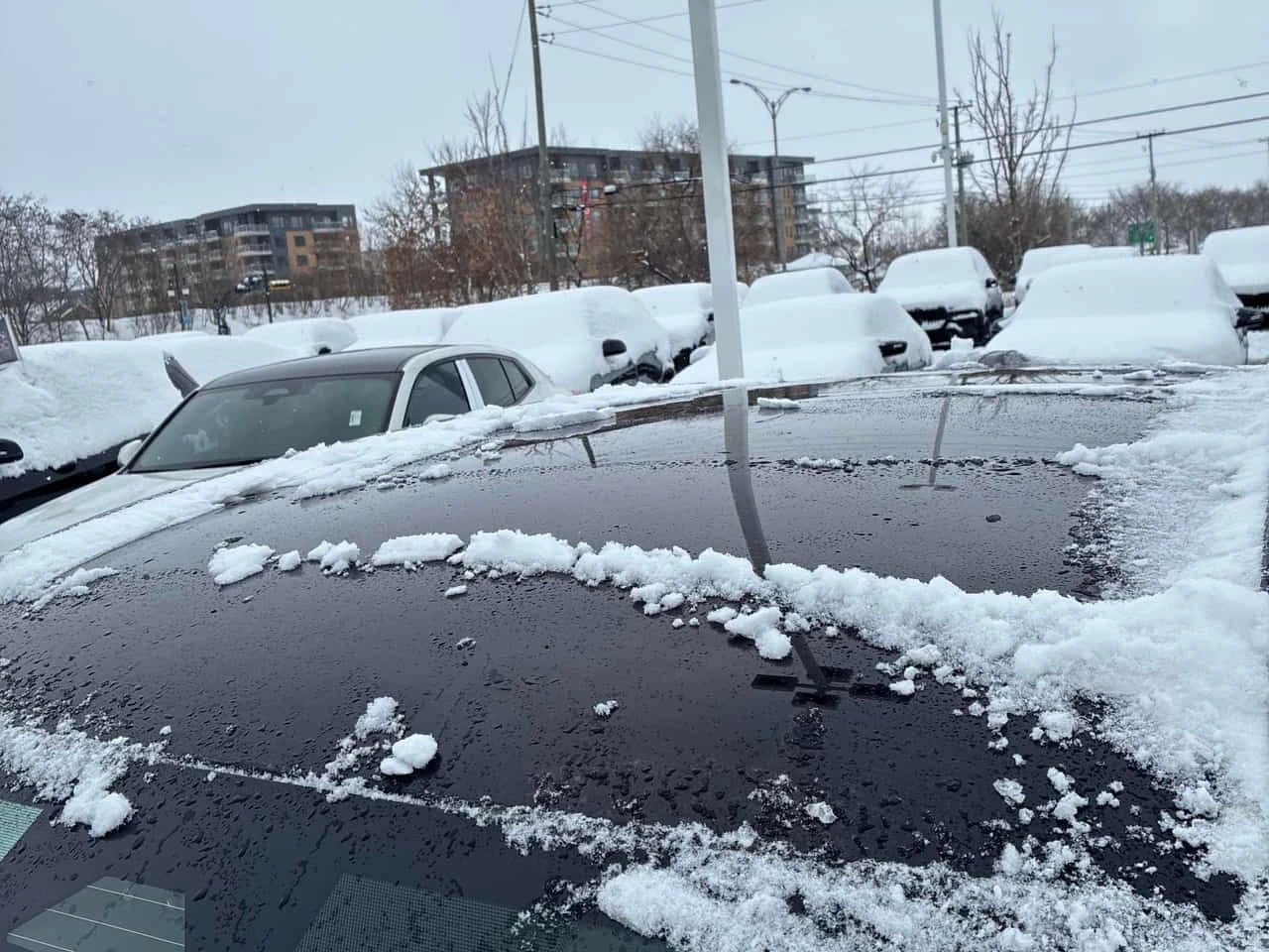 BMW X3 * M50 xDrive * CARFAX * 360 * �������� | Mobile.bg � ����������� 15