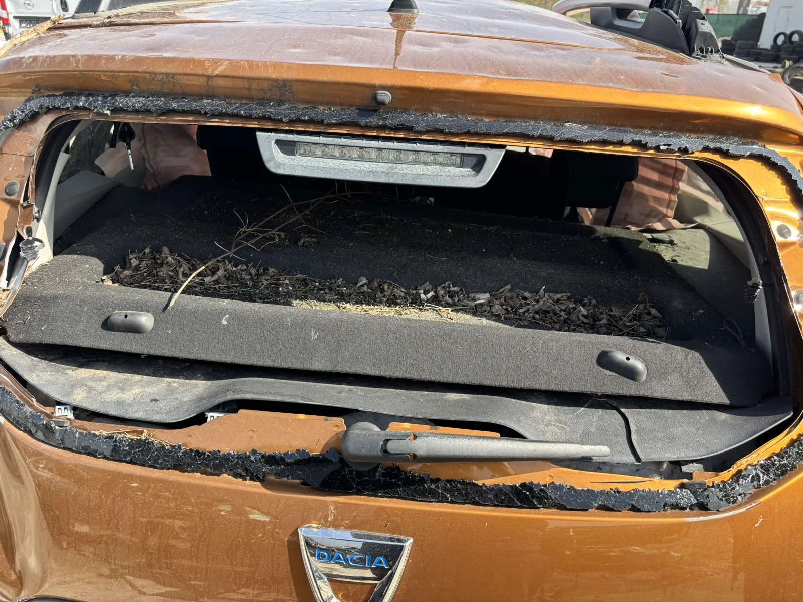 Dacia Duster 1.6 ������ ��� | Mobile.bg � ����������� 6