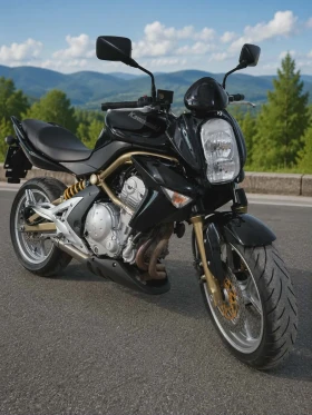 Kawasaki ER, снимка 3