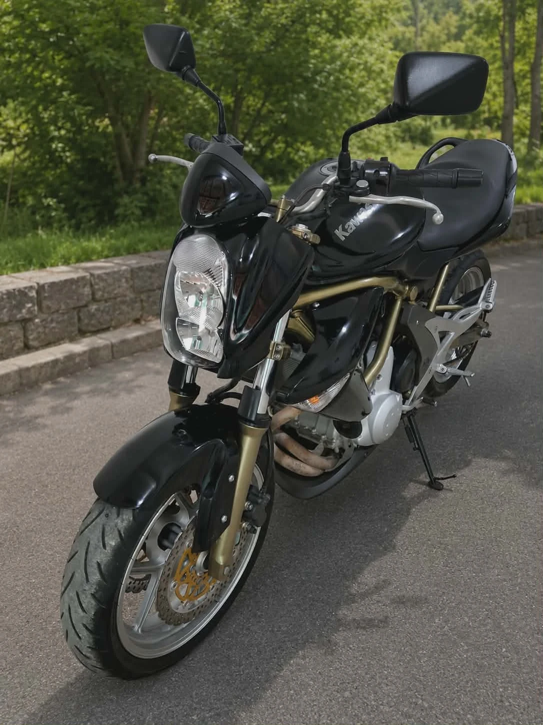 Kawasaki ER
