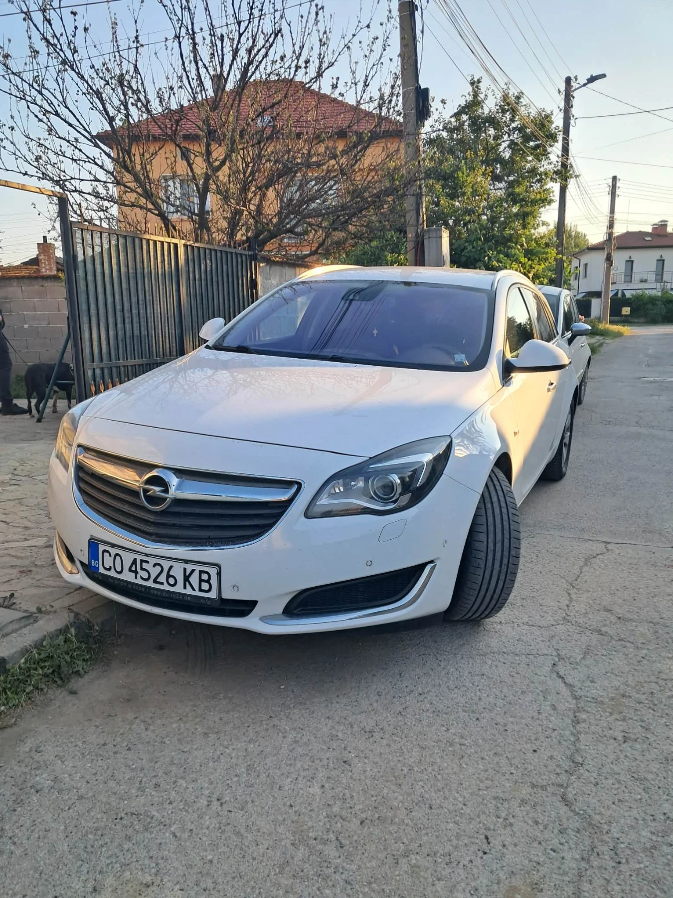 Opel Insignia, снимка 5 - Автомобили и джипове - 54998711