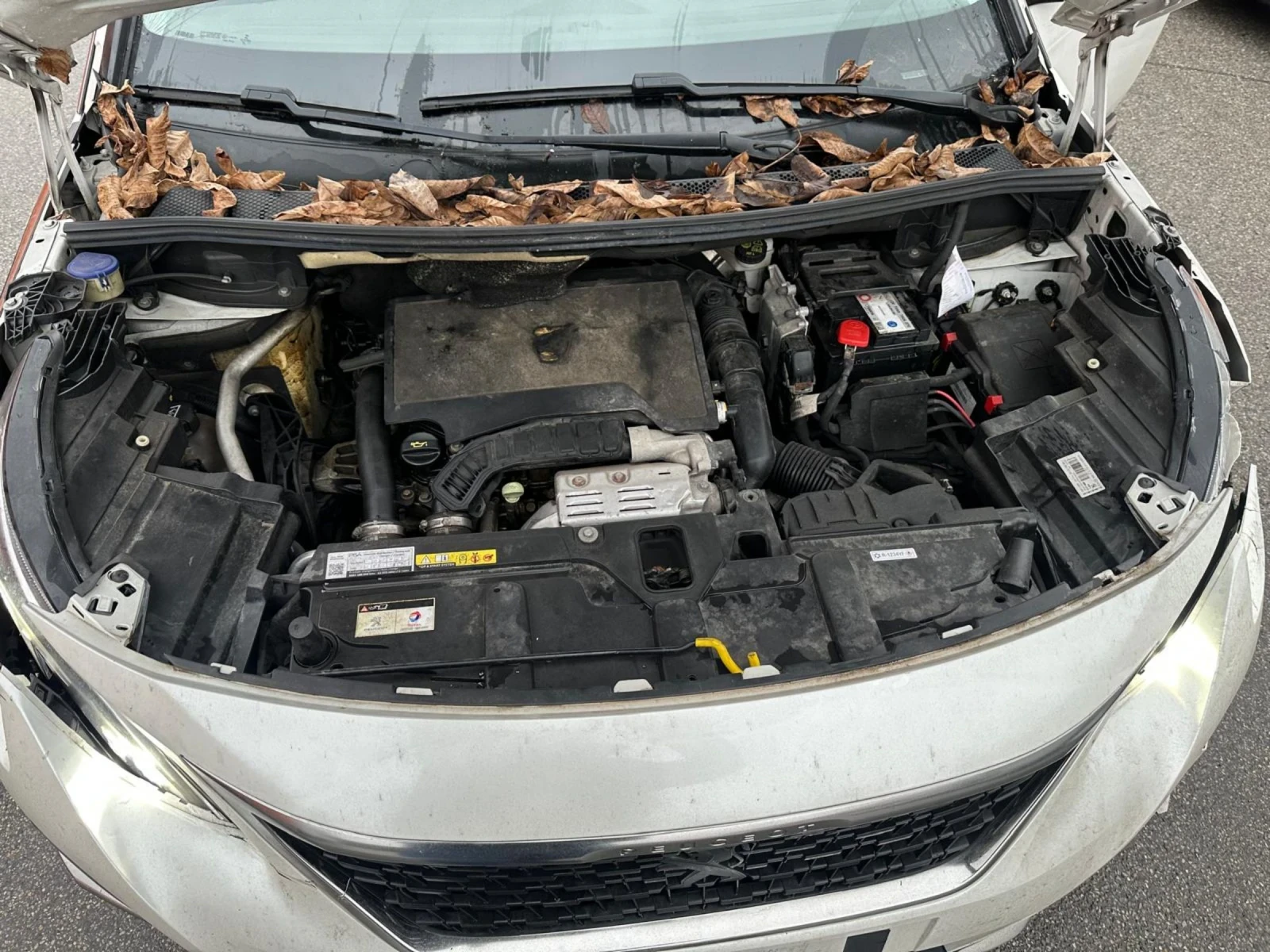 Peugeot 3008 1.2 pure-tech - изображение 10