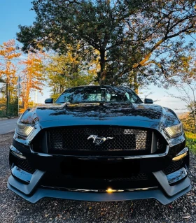 Ford Mustang Premium EcoBoost 2.3, снимка 9