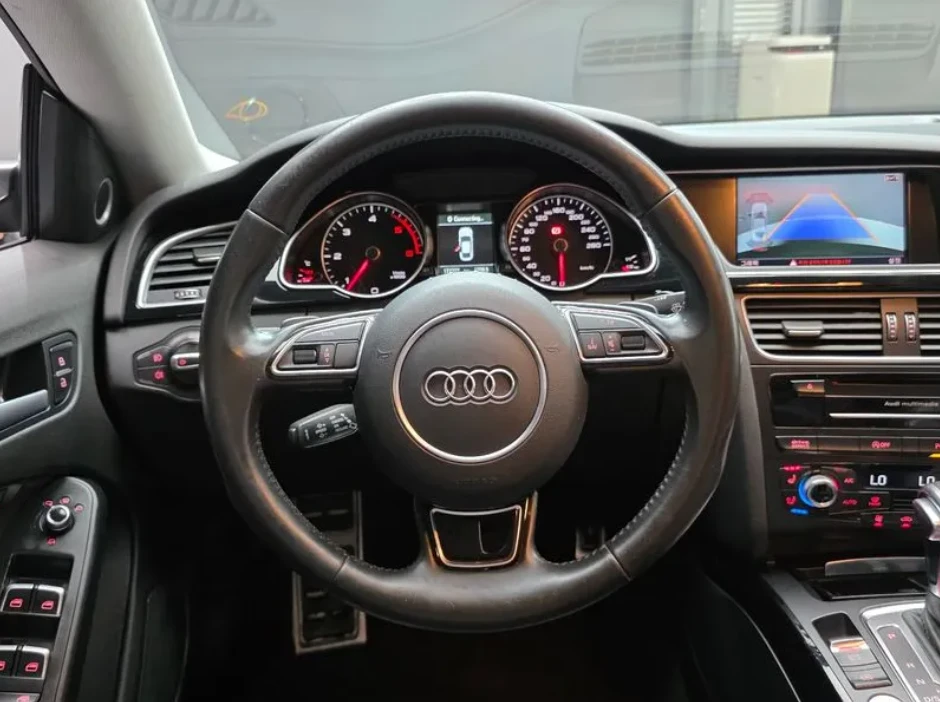 Audi A5 2.0 TDI Quattro Dynamic Sportback 8TA, снимка 12 - Автомобили и джипове - 55193406