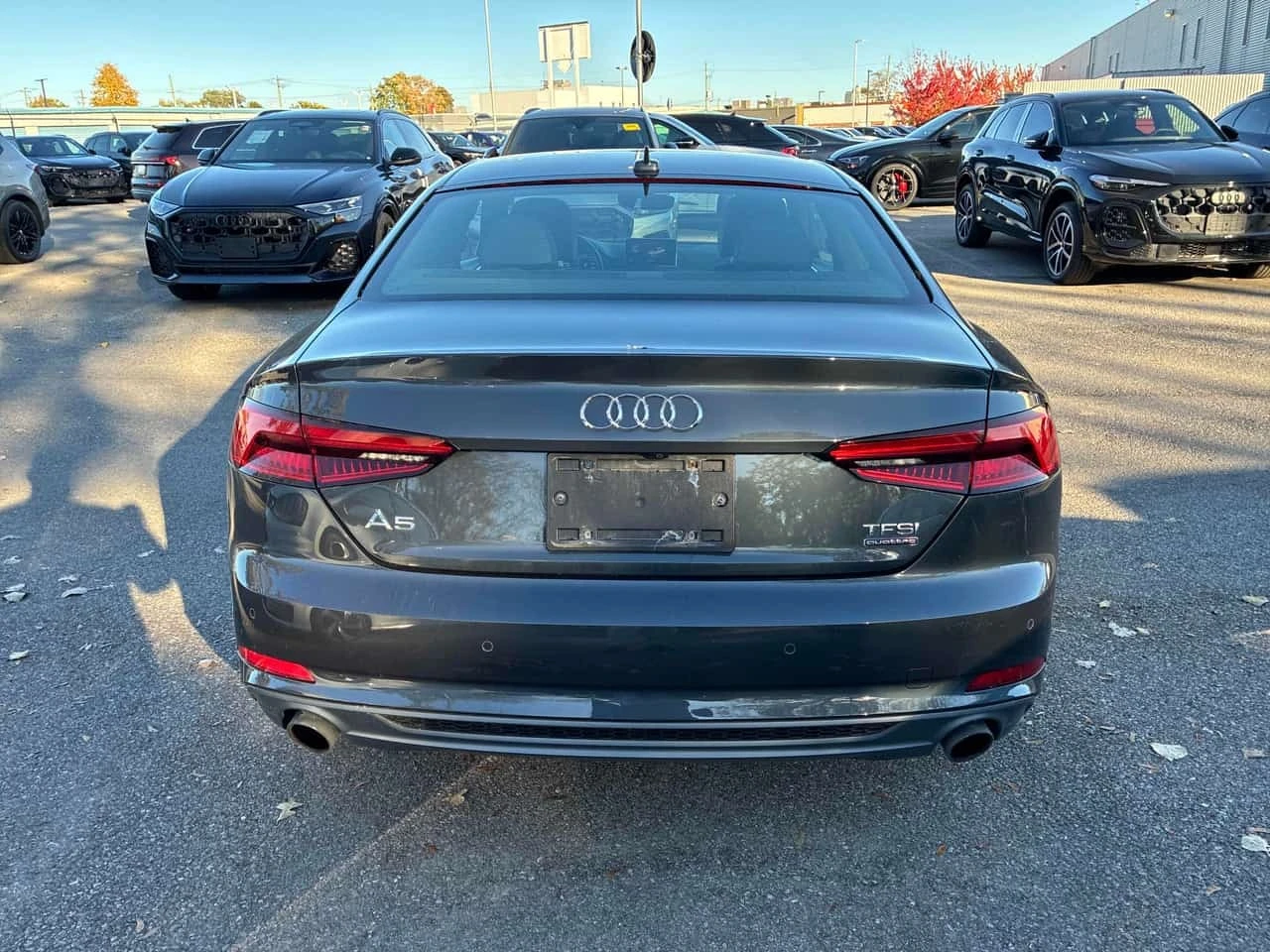 Audi A5 * Technik * CARFAX * , снимка 4 - Автомобили и джипове - 56632674