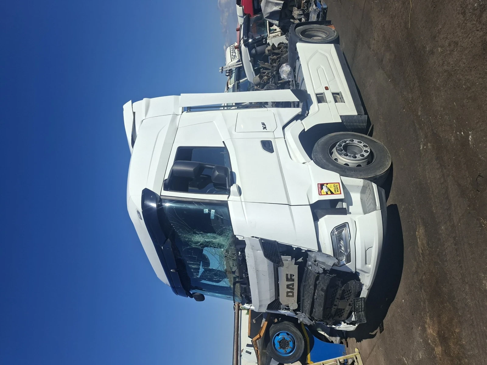 Daf XG 480 ПАЛИ - изображение 2