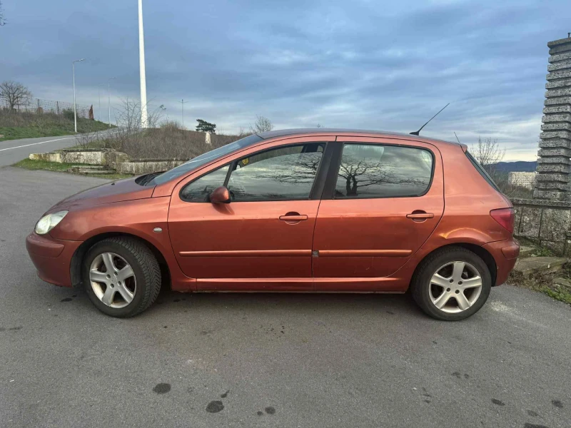 Peugeot 307 2.0 HDI, снимка 3 - Автомобили и джипове - 52681292