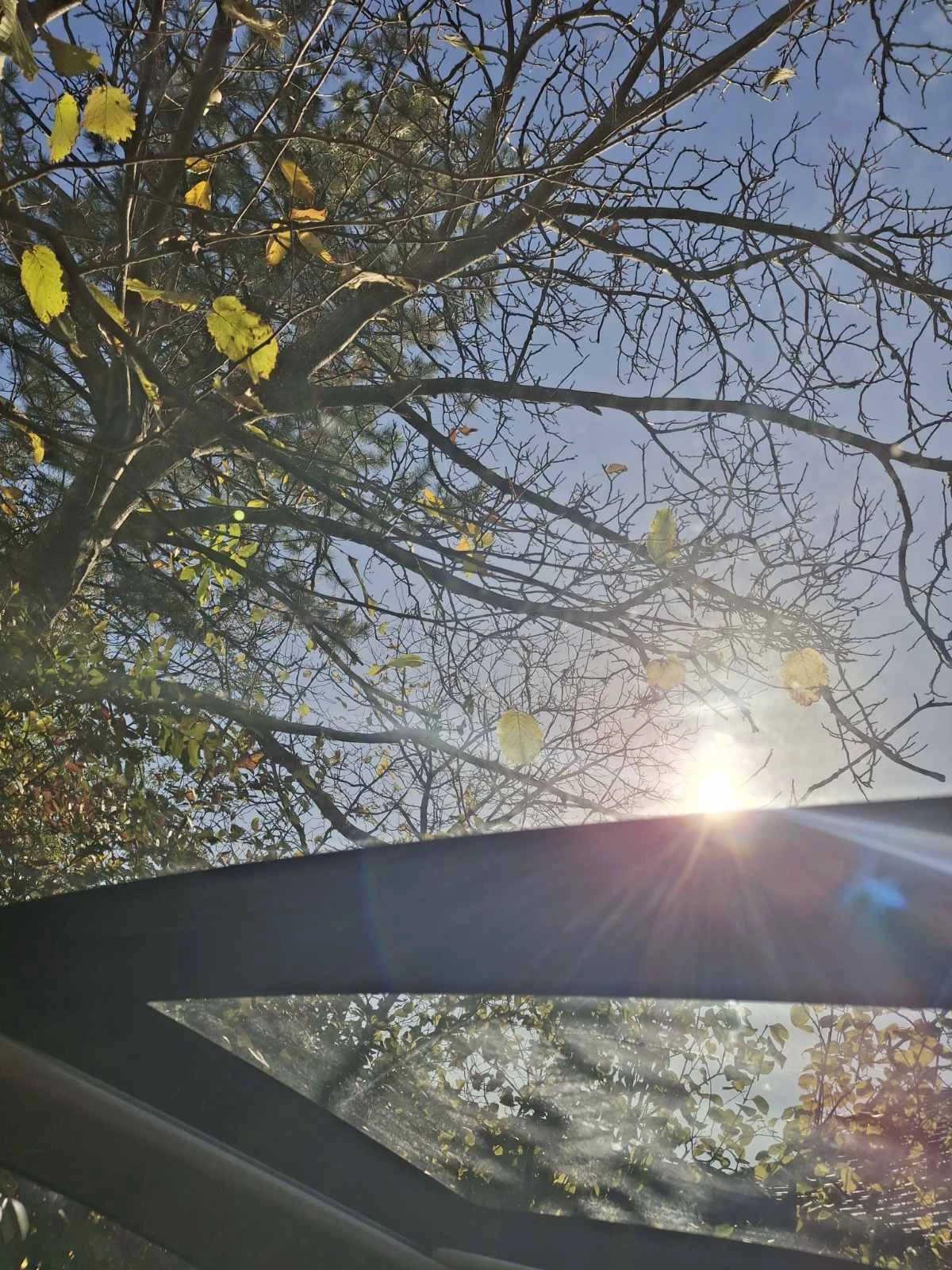 Honda Hr-v  - изображение 10