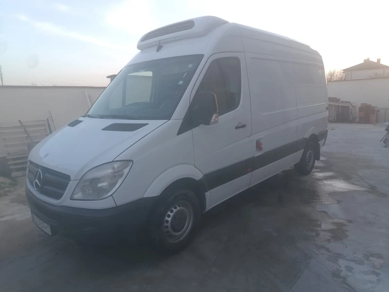 Mercedes-Benz Sprinter 316, снимка 3 - Бусове и автобуси - 53597968