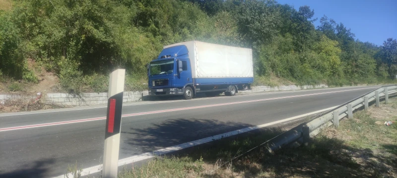 Man Tgl, снимка 8 - Камиони - 53476863