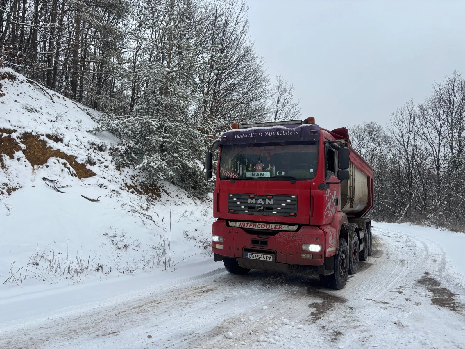 Man Tga  - изображение 2