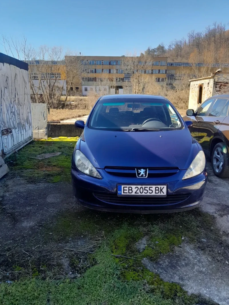 Peugeot 307 2.0 HDI, снимка 1 - Автомобили и джипове - 48852648