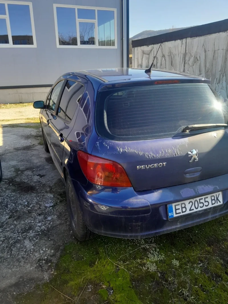 Peugeot 307 2.0 HDI, снимка 3 - Автомобили и джипове - 48852648