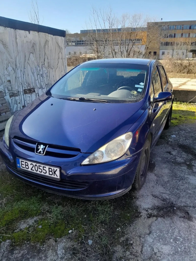 Peugeot 307 2.0 HDI, снимка 2 - Автомобили и джипове - 48852648