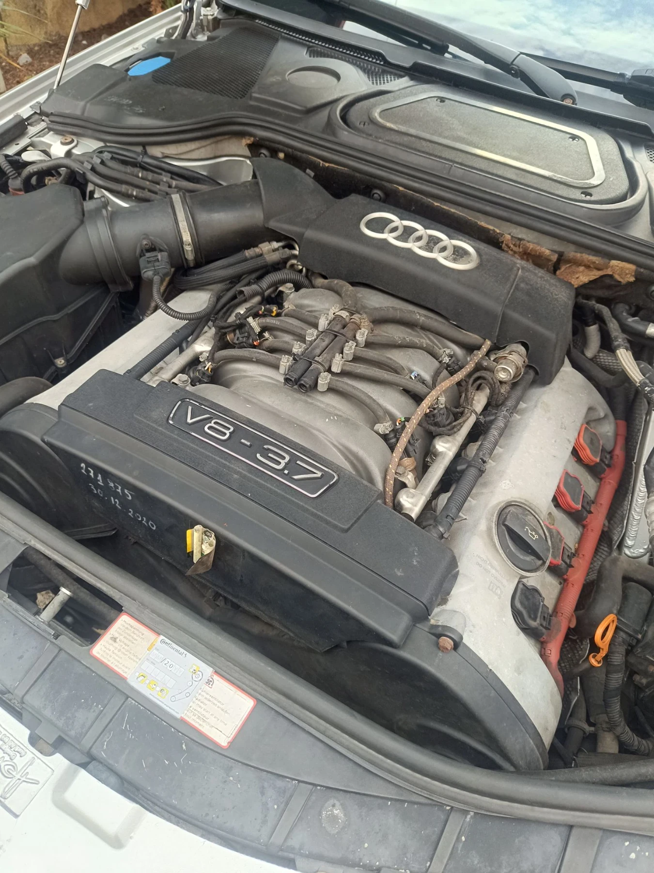 Audi A8 D3, снимка 13 - Автомобили и джипове - 55890261