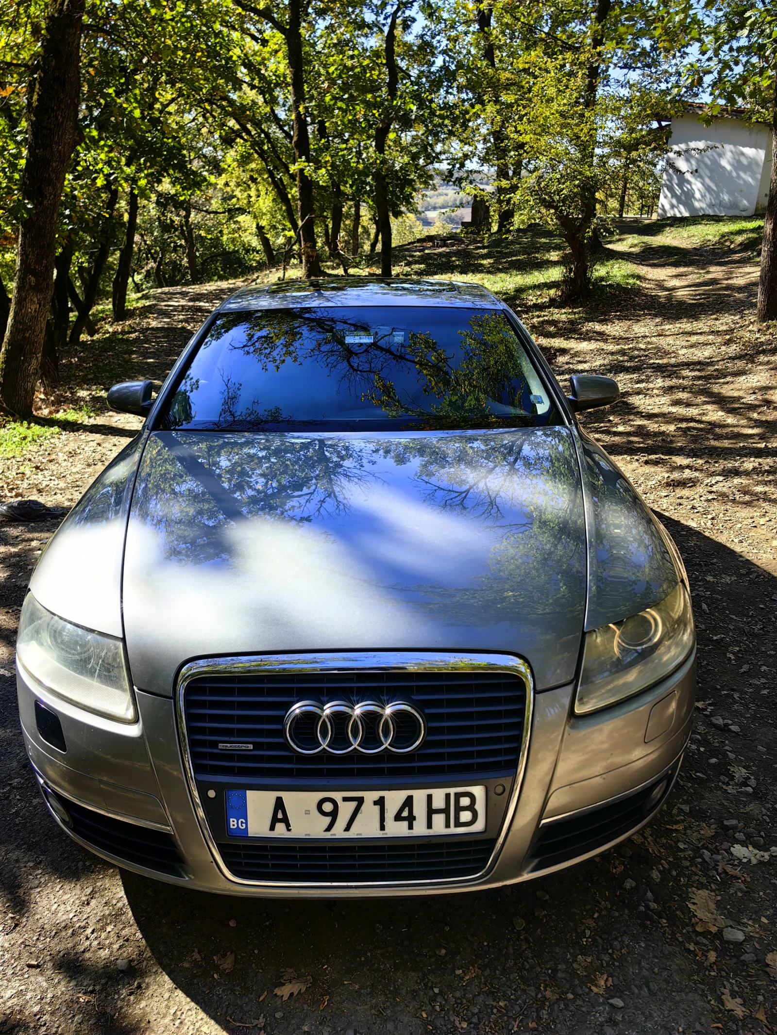 Audi A6 4x4, снимка 7 - Автомобили и джипове - 56338944