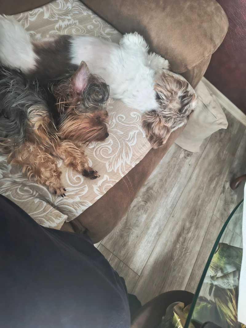 Opel Frontera, снимка 2 - Автомобили и джипове - 52515980