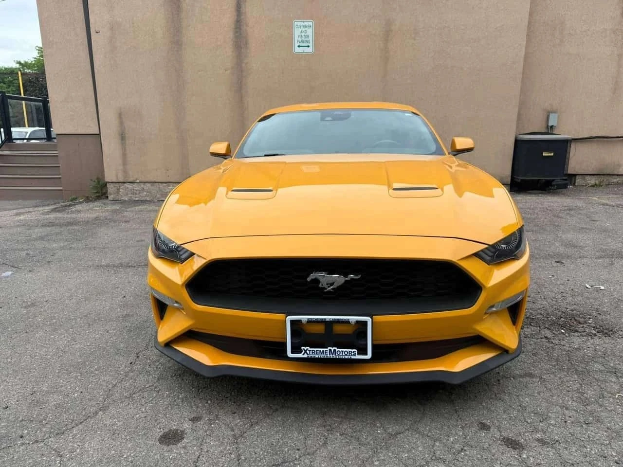 Ford Mustang, снимка 2 - Автомобили и джипове - 56739612