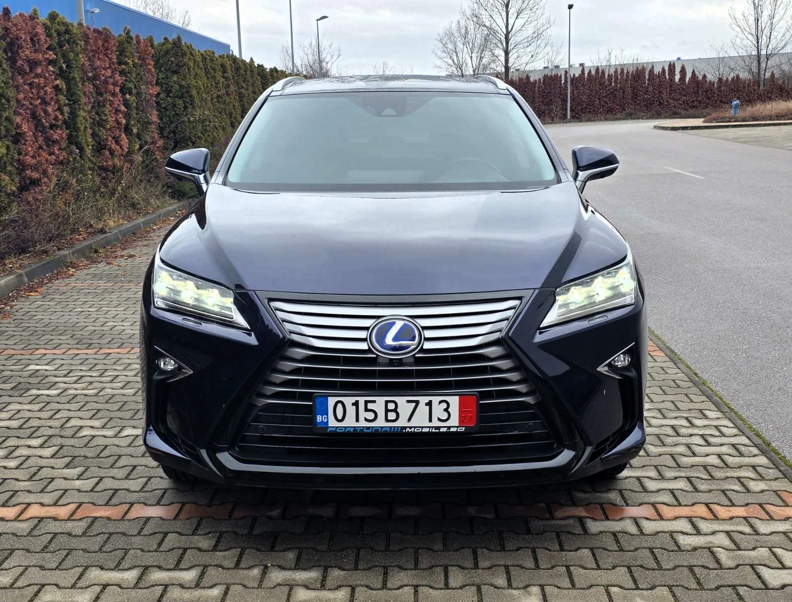 Lexus RX 450h Luxury/AWD - изображение 2