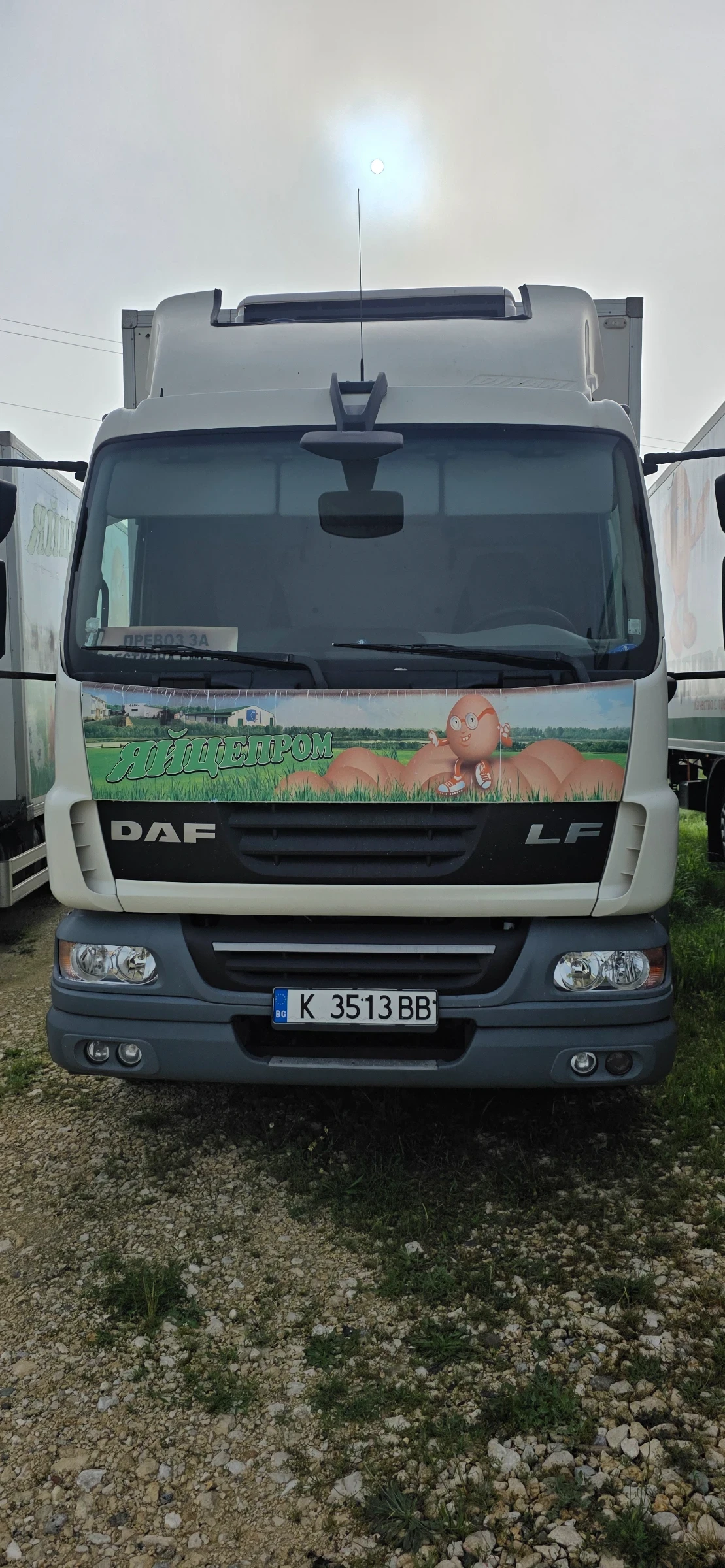 Daf Lf 55