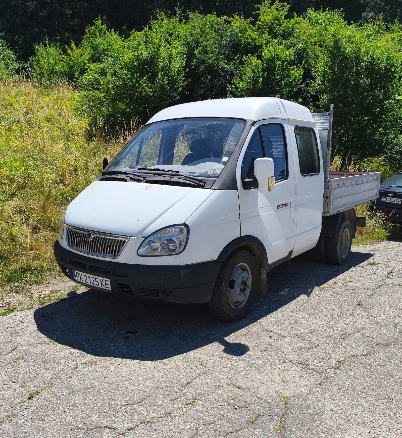 Gaz 33021 2.2TD Steyr , снимка 2 - Камиони - 55562967