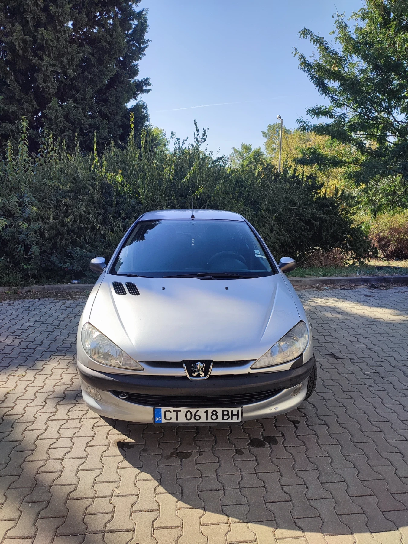 Peugeot 206 1.4 бензин