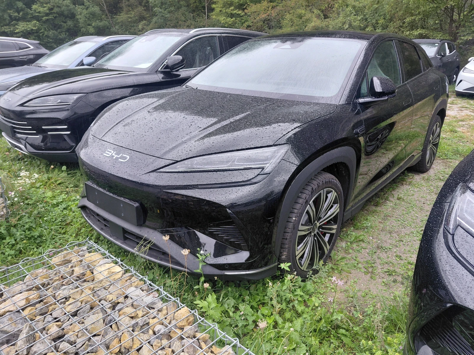 BYD Sealion 7 EXCELLENCE , снимка 4 - Автомобили и джипове - 56370279