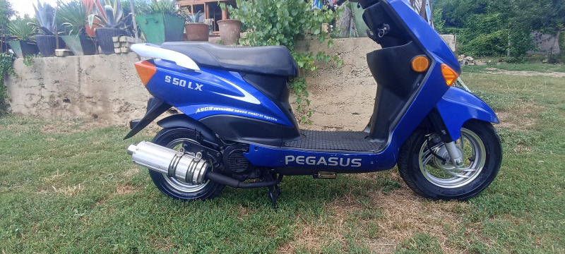Други Друг PEGASUS S50LX , снимка 5 - Мотоциклети и мототехника - 46407075