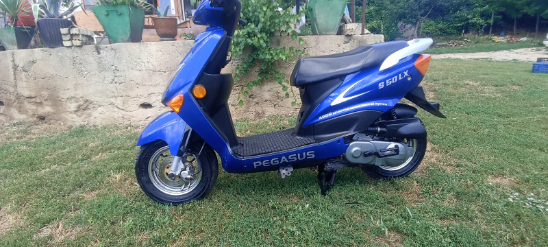 Други Друг PEGASUS S50LX , снимка 7 - Мотоциклети и мототехника - 46407075