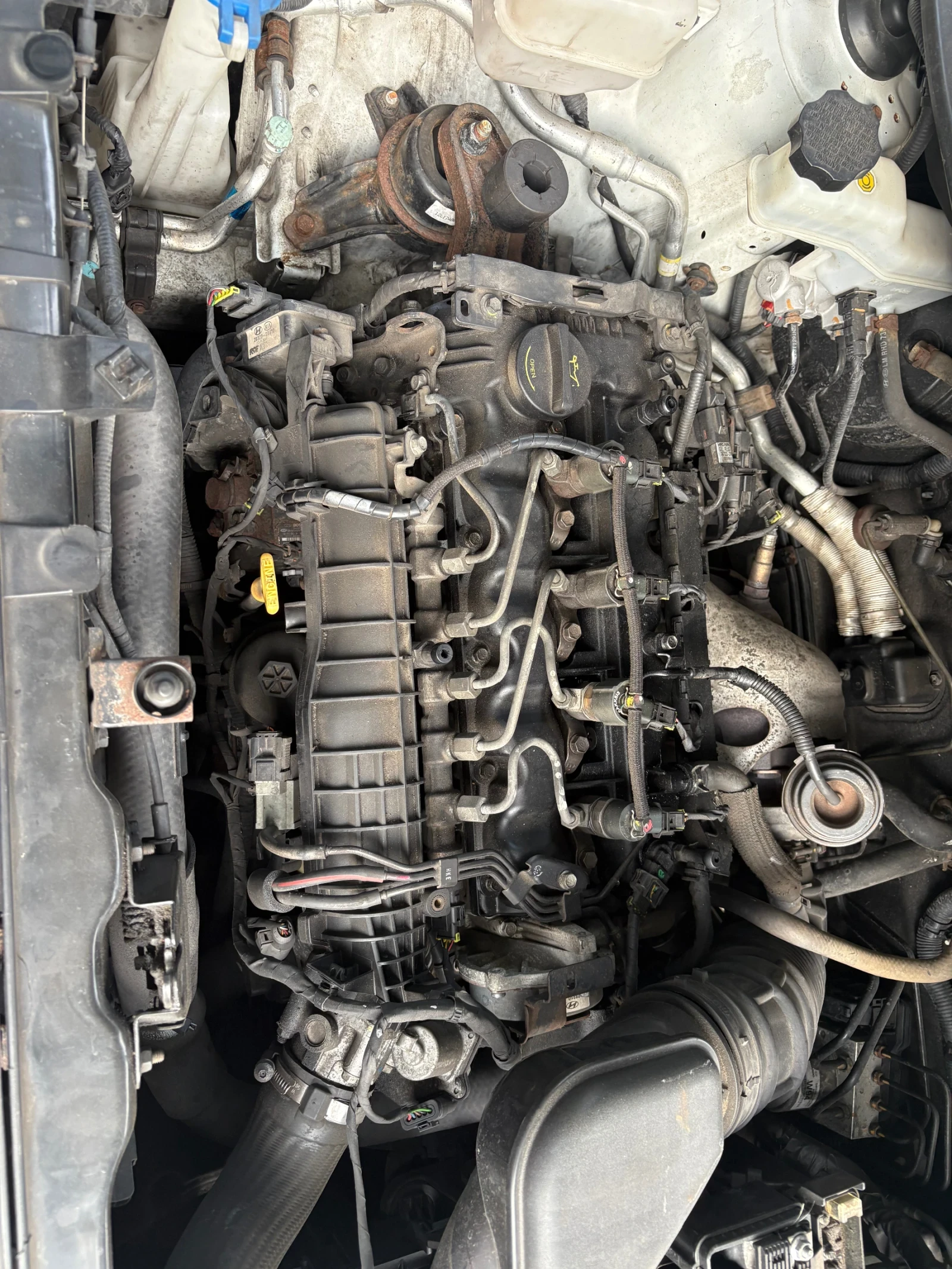 Kia Sportage, снимка 5 - Автомобили и джипове - 55930388