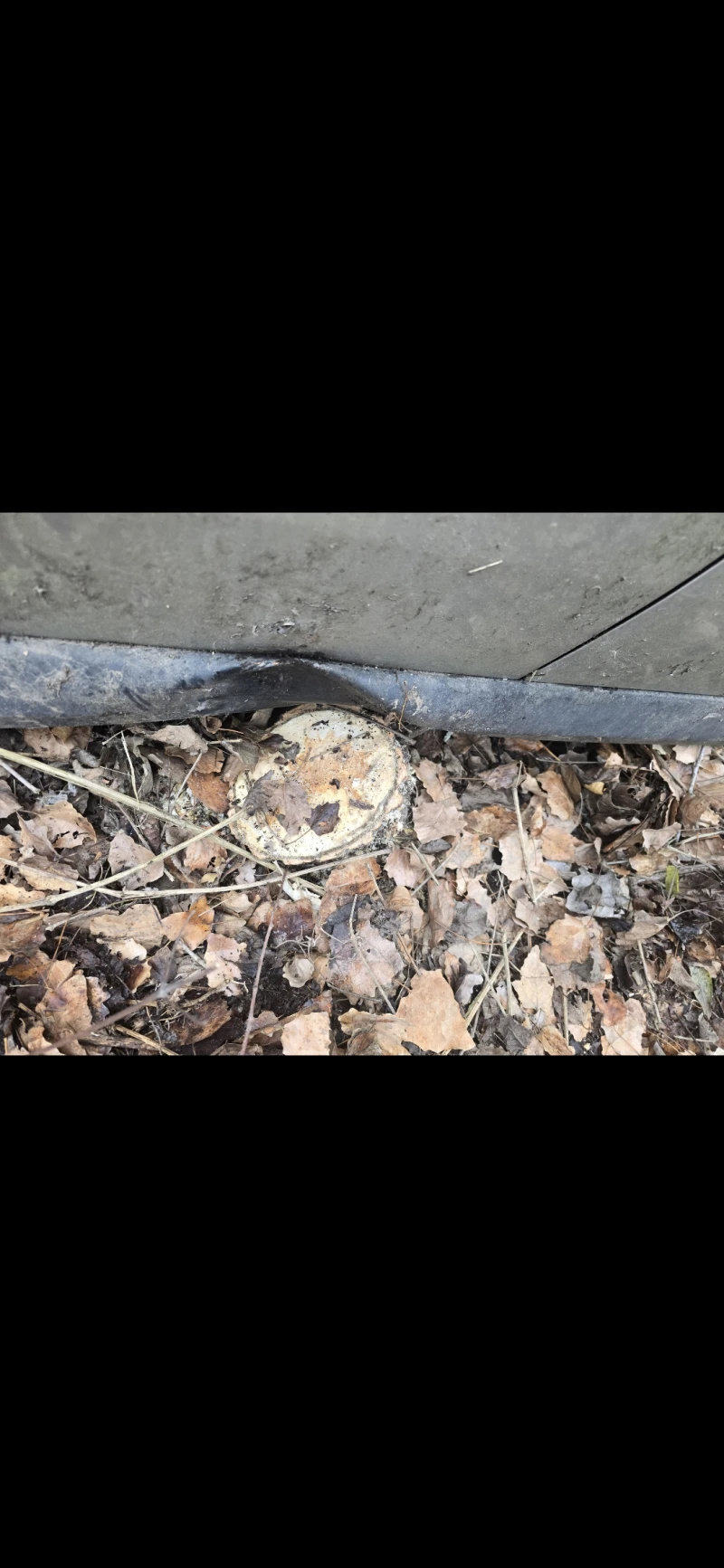 Opel Vectra, снимка 14 - Автомобили и джипове - 52820230