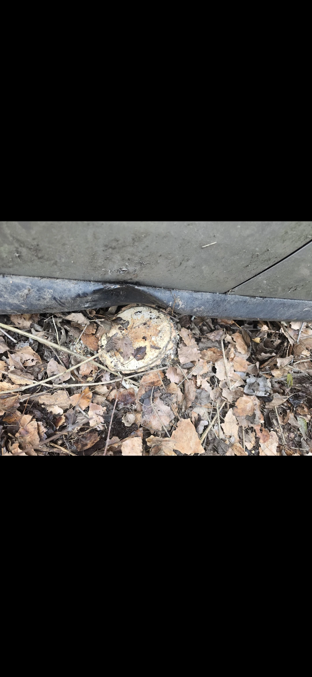 Opel Vectra | Mobile.bg � ����������� 14