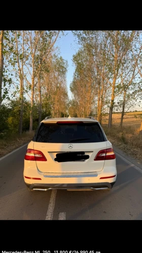 Mercedes-Benz ML 250, снимка 2