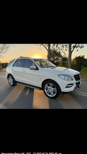 Mercedes-Benz ML 250, снимка 3
