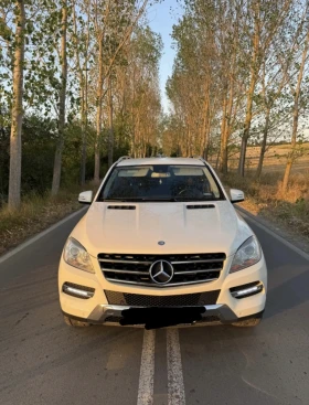 Mercedes-Benz ML 250, снимка 1