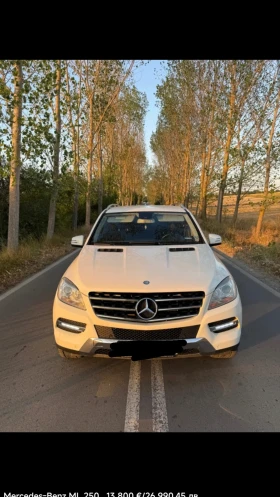 Mercedes-Benz ML 250, снимка 1