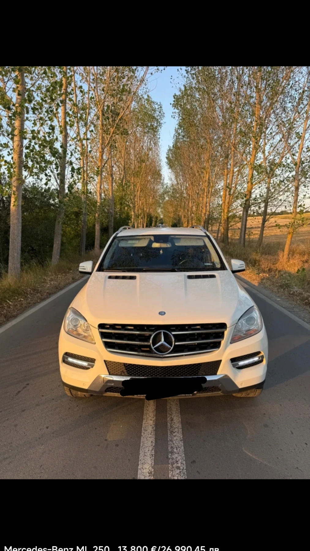 Mercedes-Benz ML 250