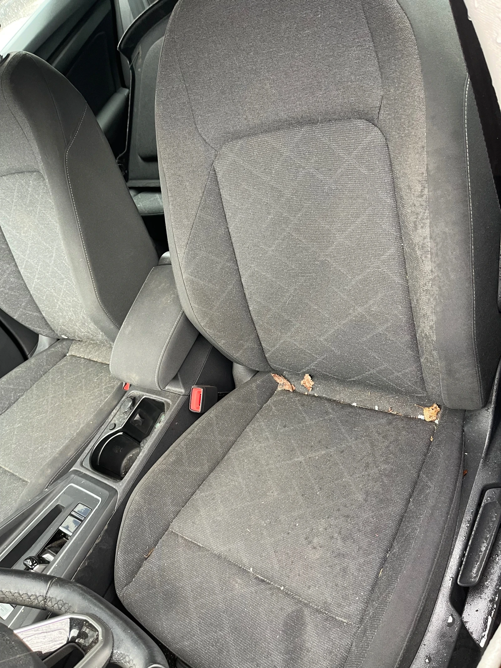 VW Golf eTSI - 1.5 ( 150 k��� ) �� ����� ��� ��� ! | Mobile.bg � ����������� 16