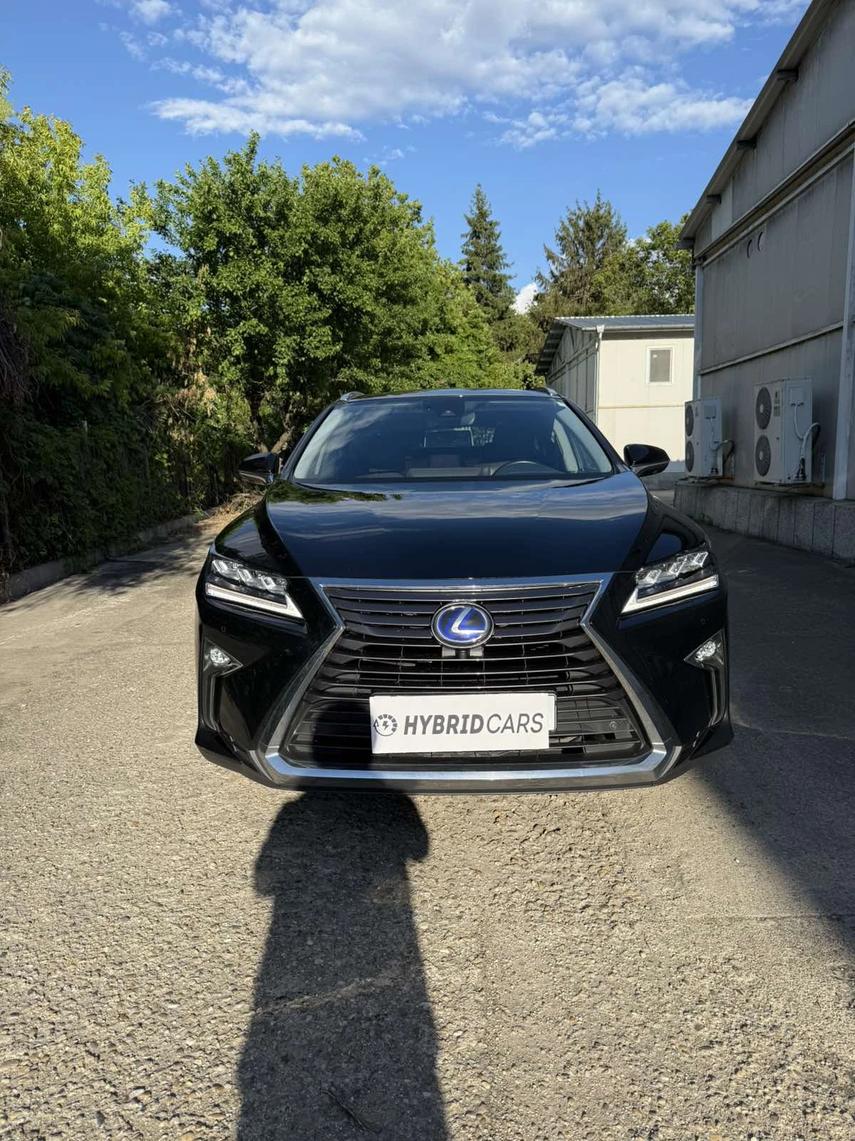 Lexus RX 450h  4x4, снимка 1