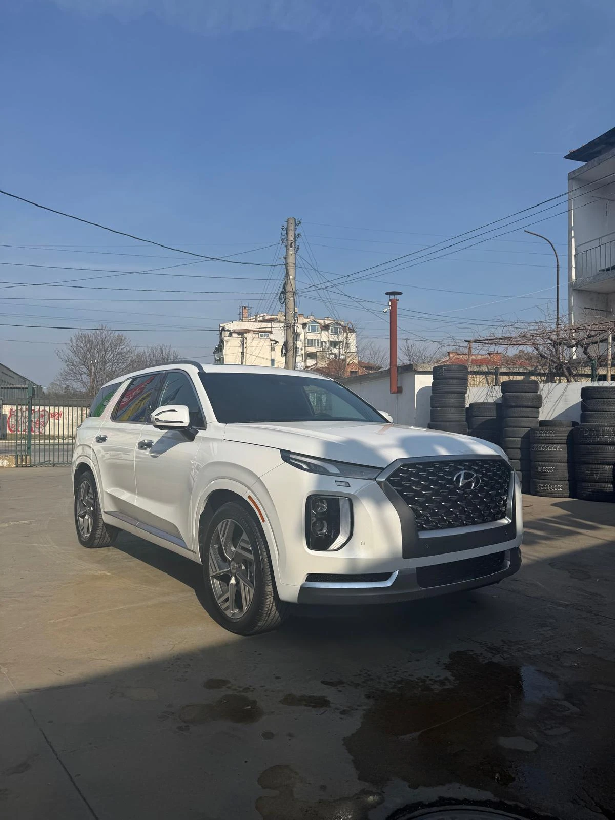 Hyundai Palisade Calligraphy FULL | Mobile.bg — изображение 1