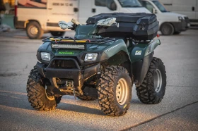  Kawasaki Brute Force