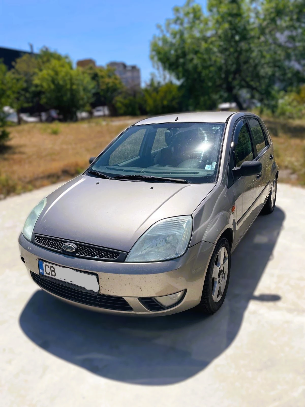 Ford Fiesta 1.4 TDCI - изображение 3