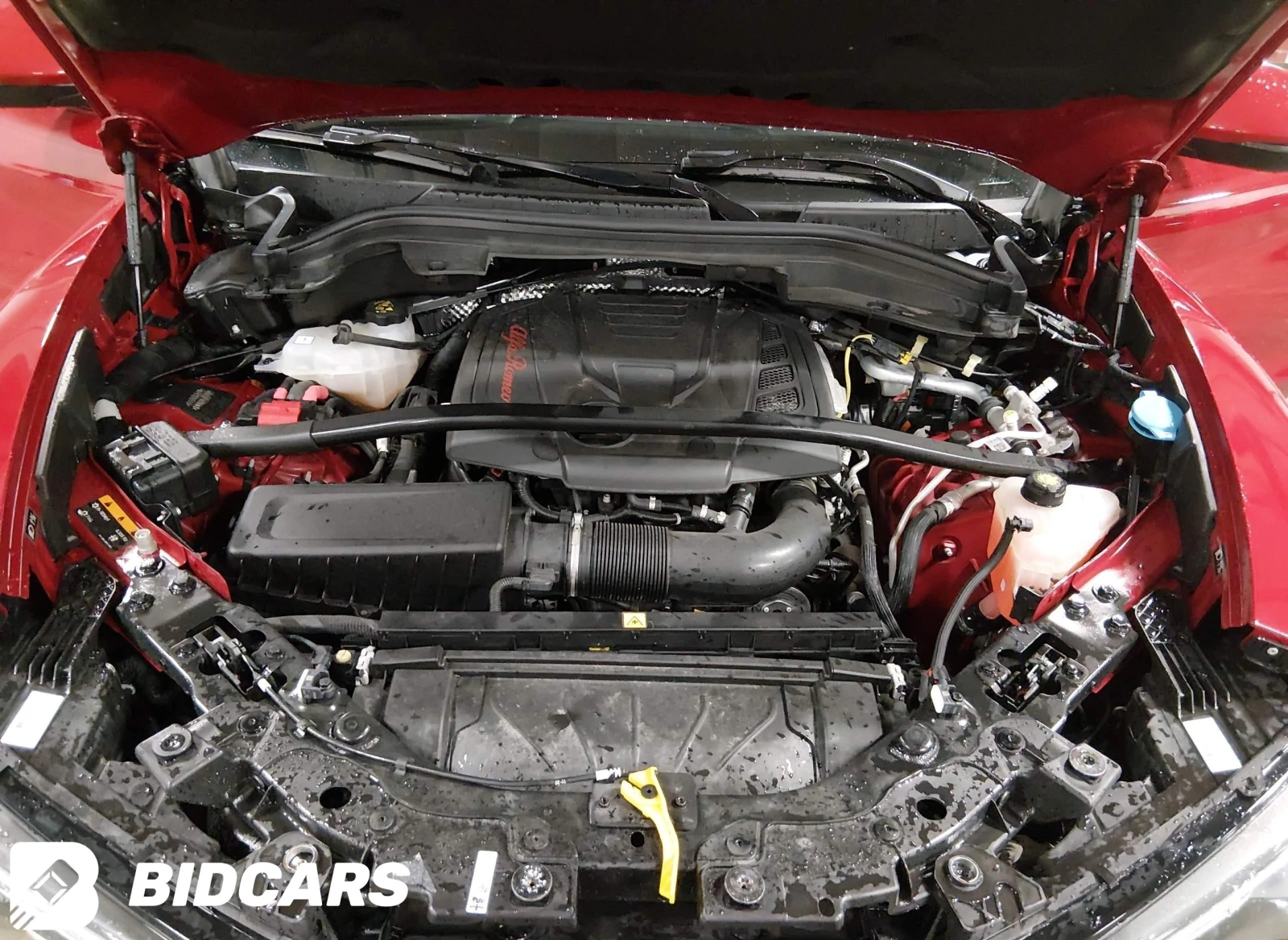 Alfa Romeo Stelvio Stelvio Ti AWD, снимка 10 - Автомобили и джипове - 55152267