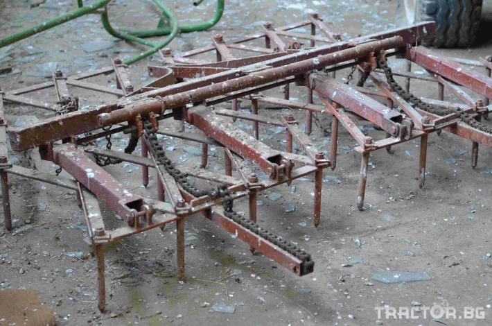 Друг вид Български ГРАПА