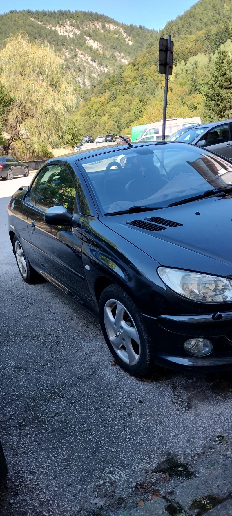 Peugeot 206, снимка 4 - Автомобили и джипове - 47939435