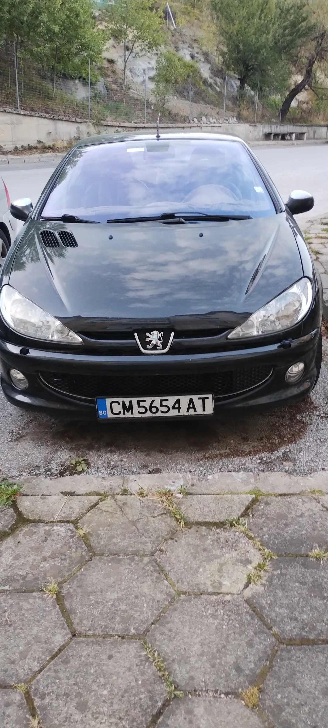 Peugeot 206  - изображение 2