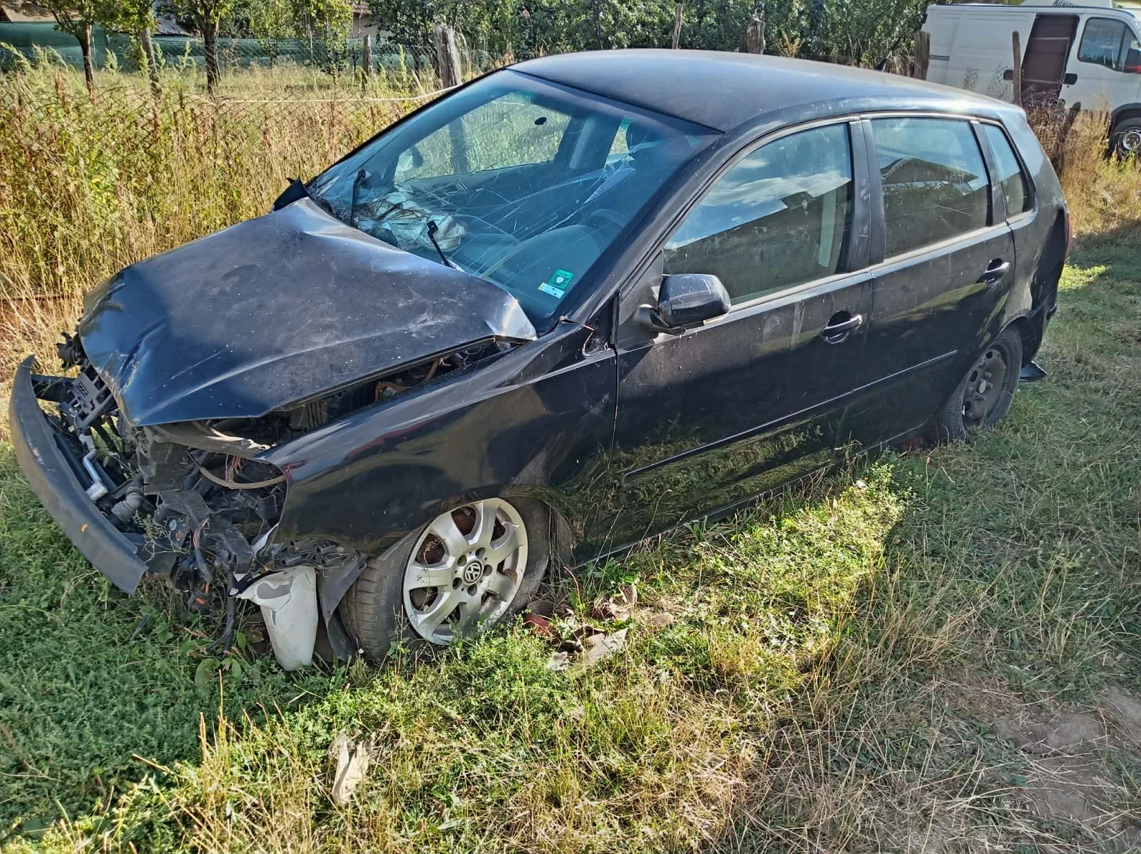 VW Polo